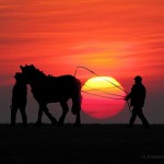 A verdadeira natureza do ‘farmer’